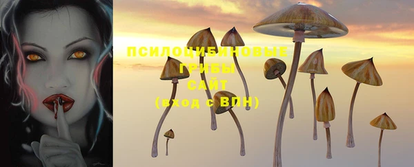 a pvp Магас