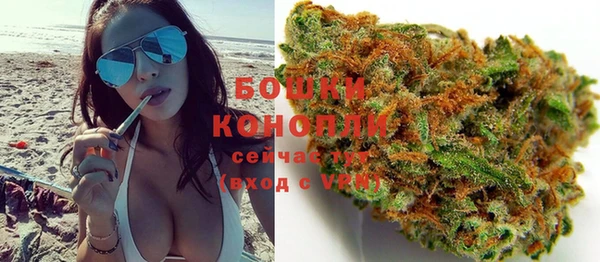 PSILOCYBIN Липки