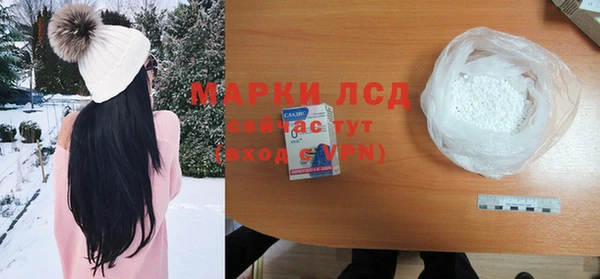 a pvp Магас
