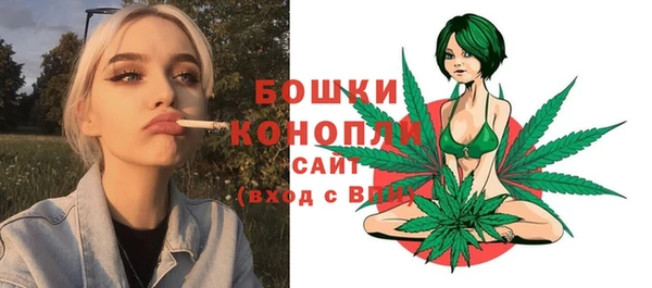 a pvp Магас